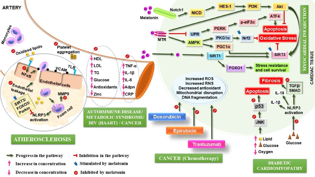 Figure 1-1.jpg