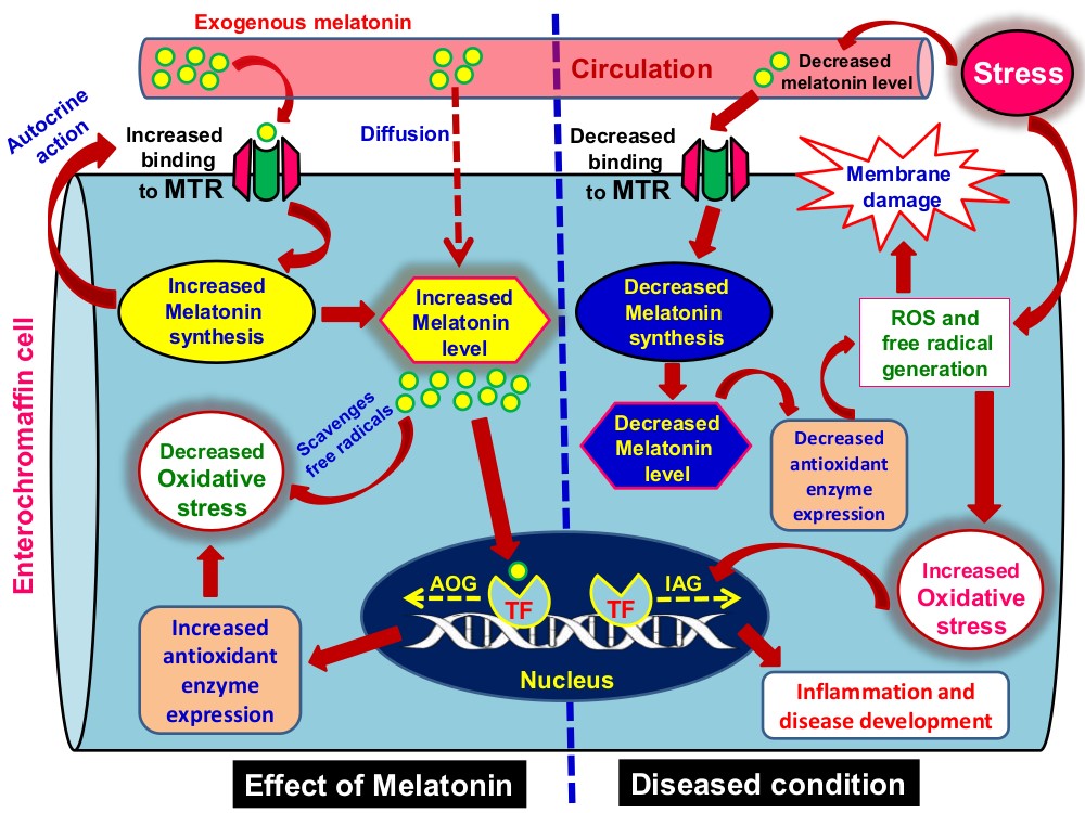 Figure 1.jpg