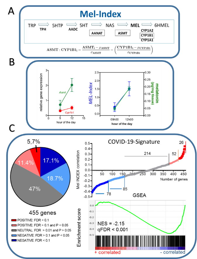 Figure1.png