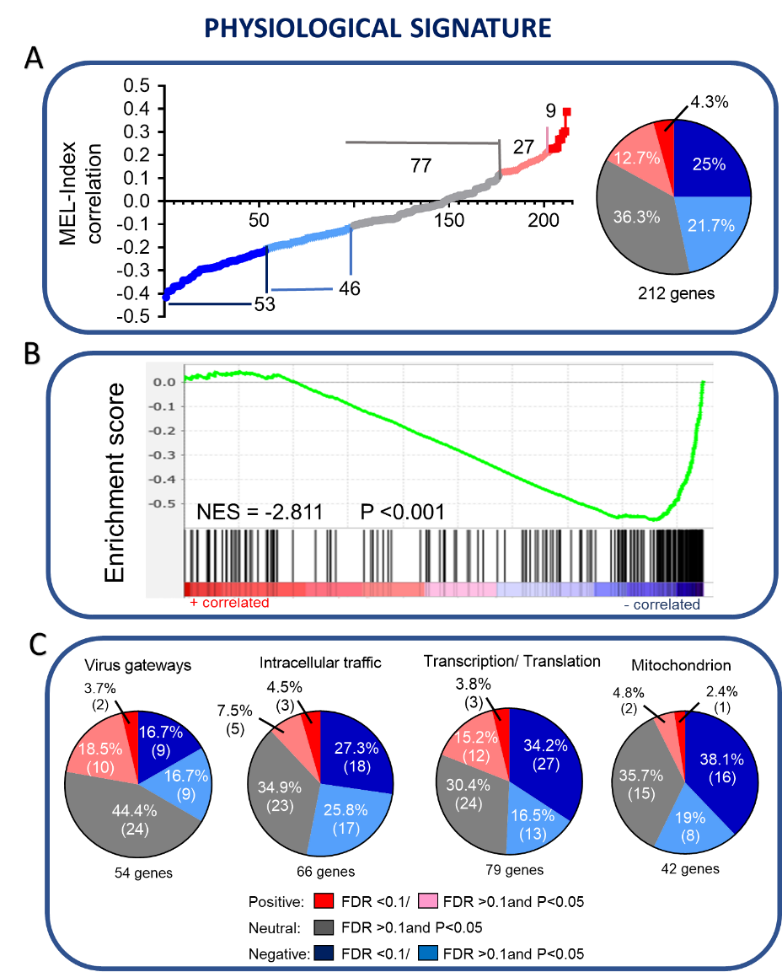 Figure 4.png