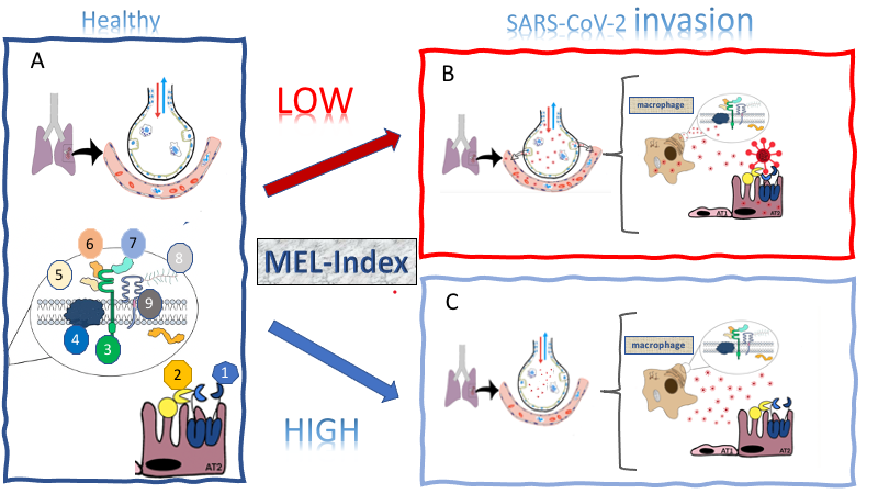 Figure 5.png