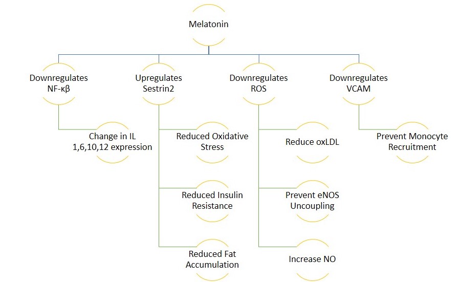 Figure 3-3.jpg