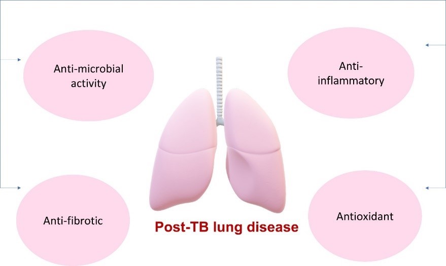 Figure 1-1.jpg