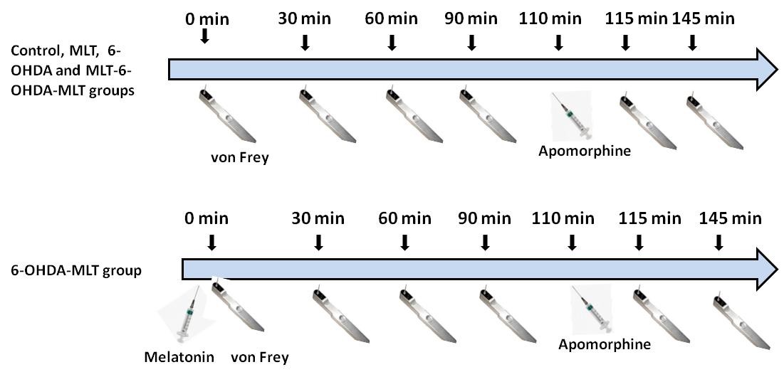 Figure 2..jpg