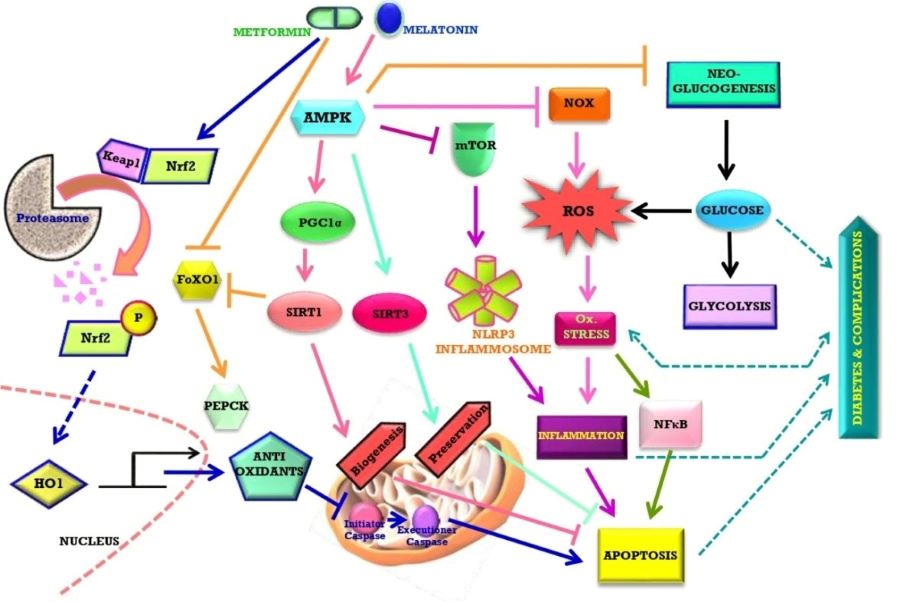 Figure 1.jpg