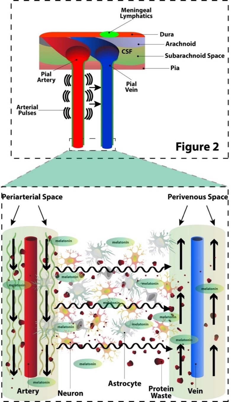 Figure 2.jpg