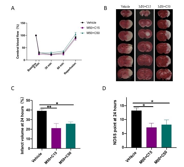 Figure2.jpg