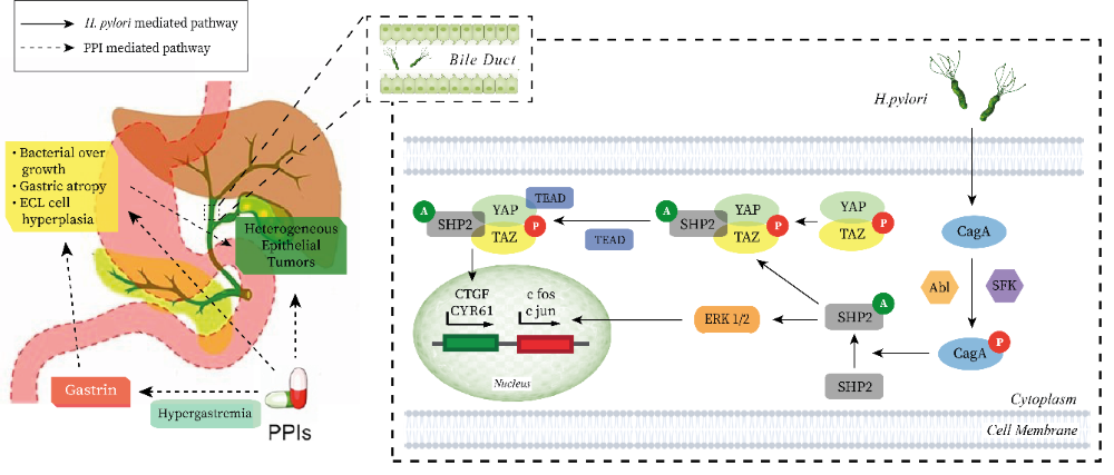 Figure 1-1.png