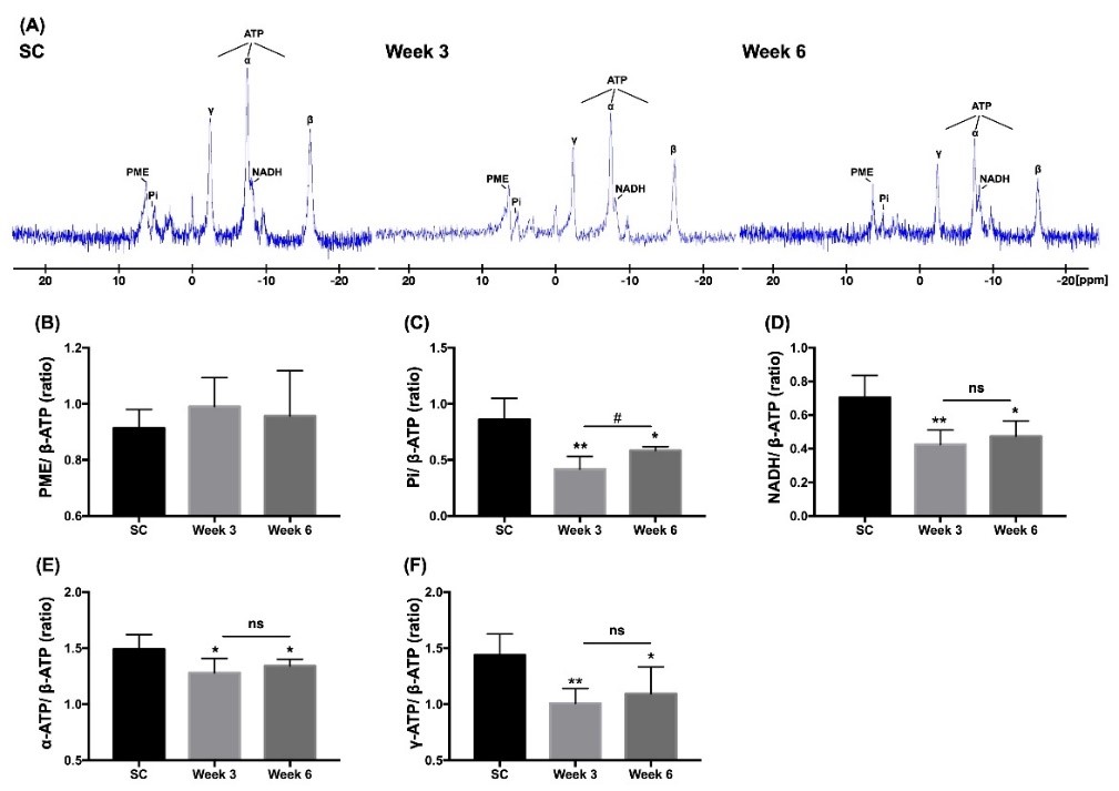 Figure 4.jpg