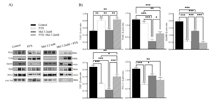 Figure 4.jpg