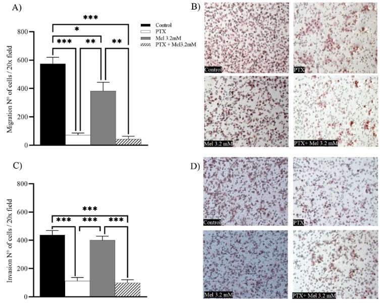 Figure 7.jpg