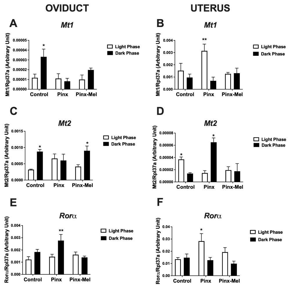 Figure 2.png