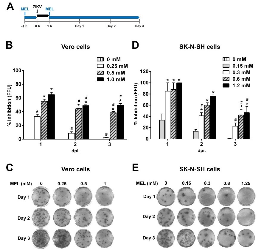 Figure 2.jpg