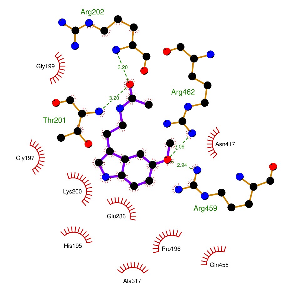 Figure 3.jpg