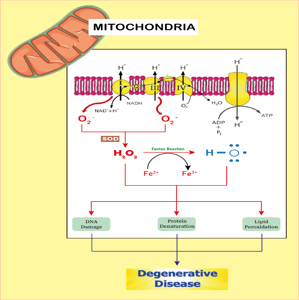 Figure 1.png