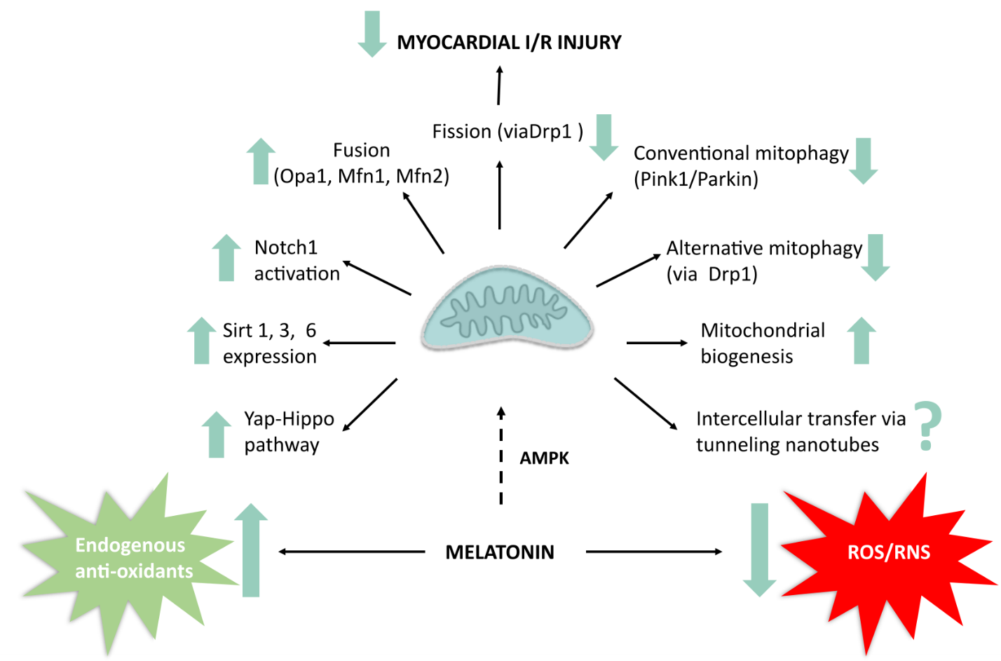 Figure 2.png