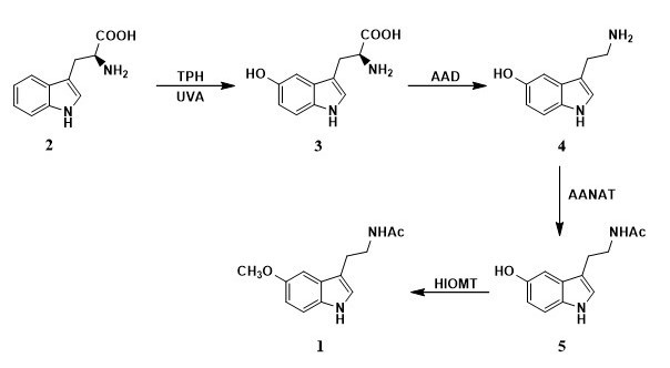 Figure 1.jpg