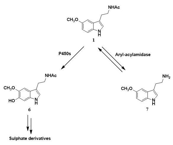 Figure 2.jpg