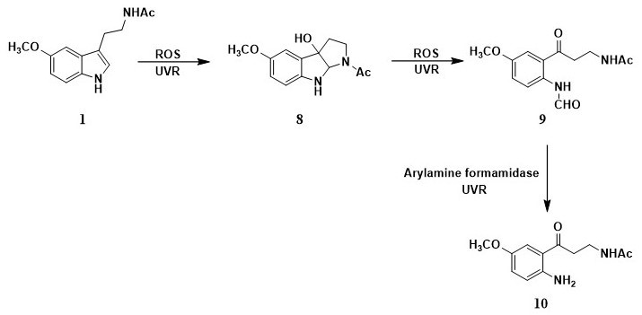 Figure 3.jpg