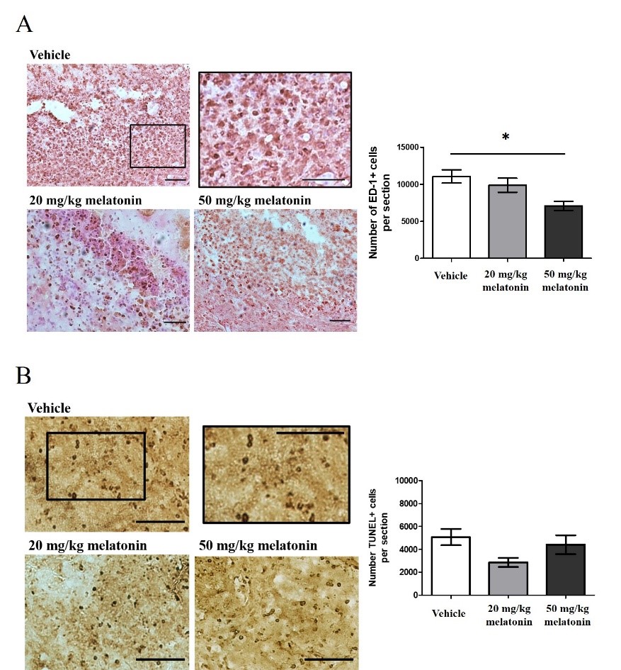 Vol 4 No 2 21 Melatonin Research Melatonin Research