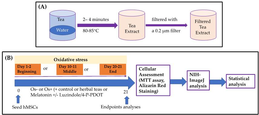 Figure 1.jpg