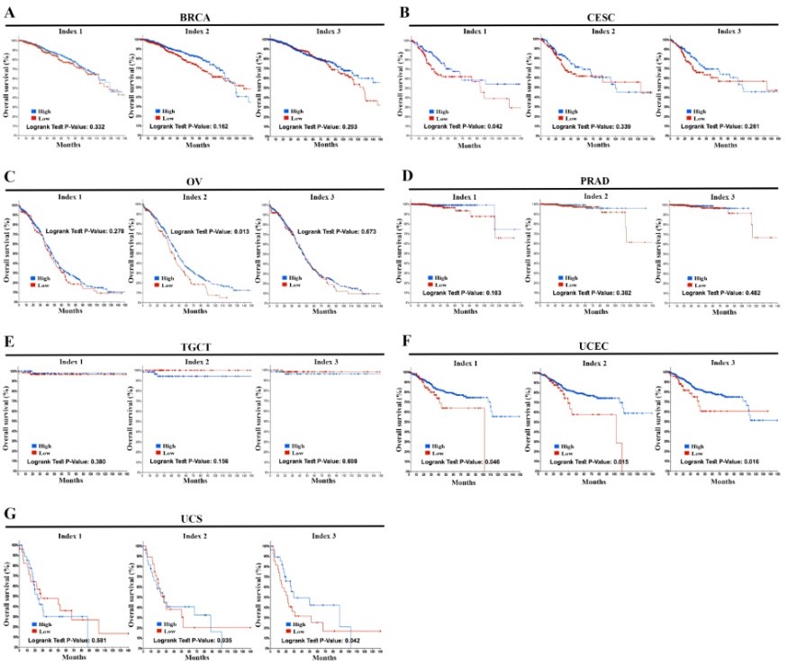 Figure 2.jpg