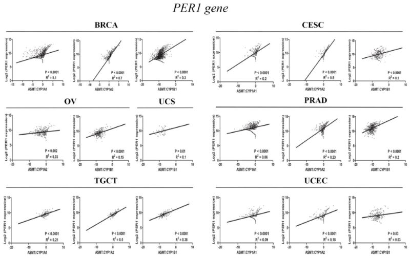 Figure 3.jpg