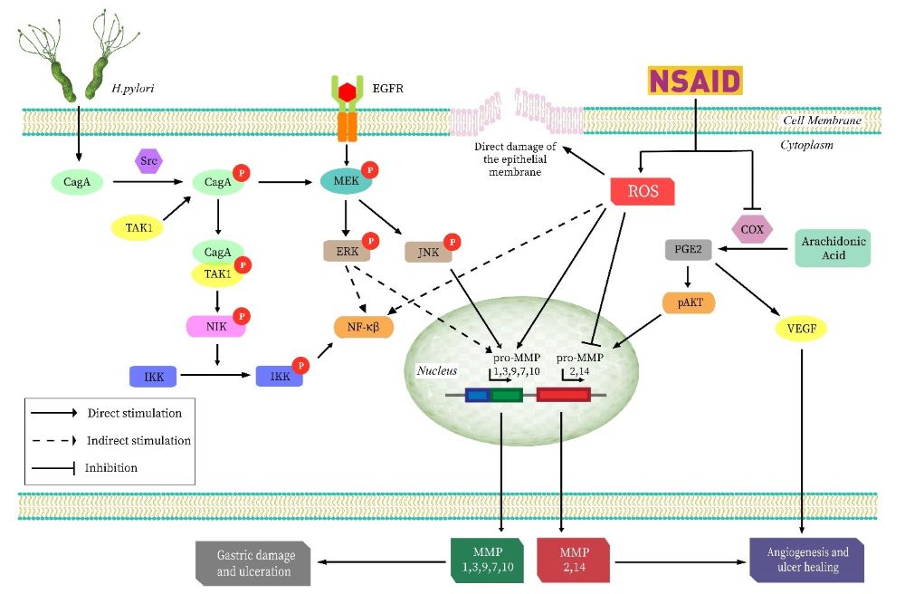 Figure 1-1.jpg