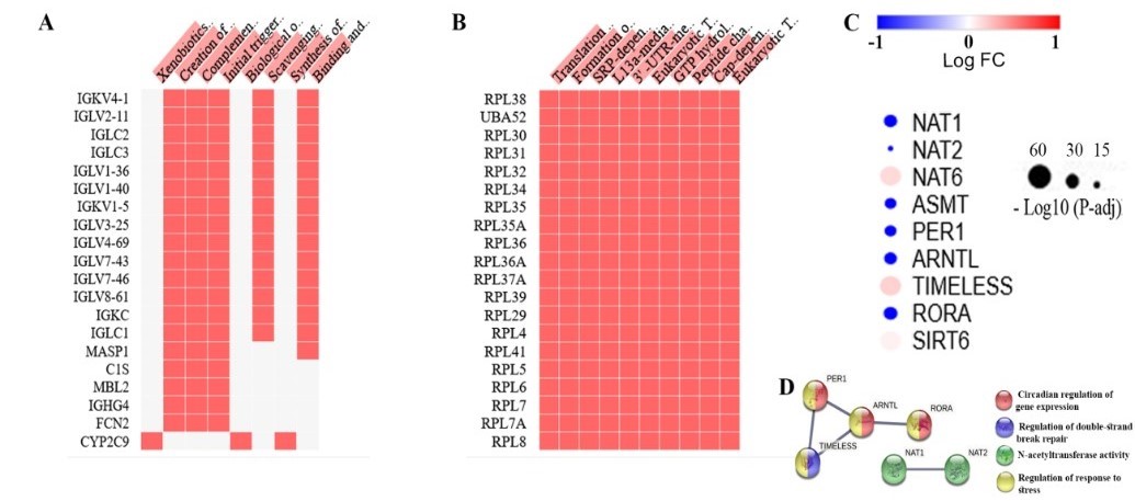 Figure 7.jpg