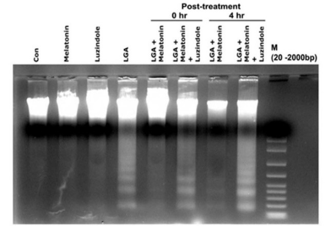 Figure 1-1.jpg