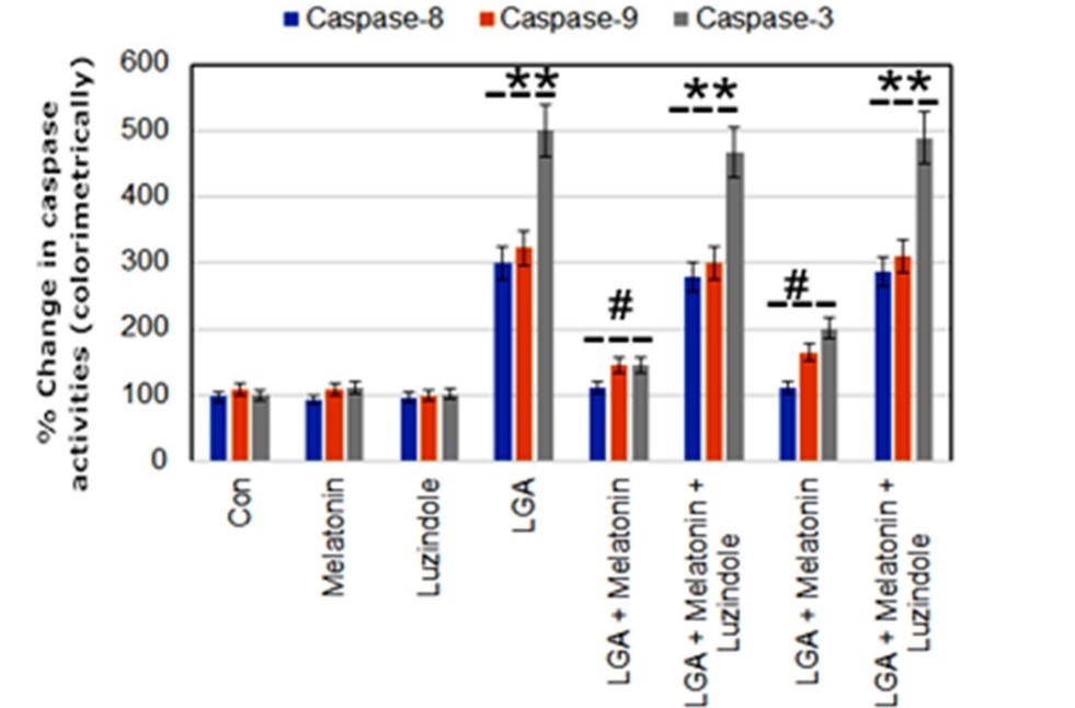 Figure 2.jpg