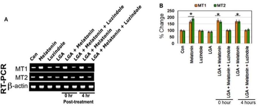 Figure 3.jpg