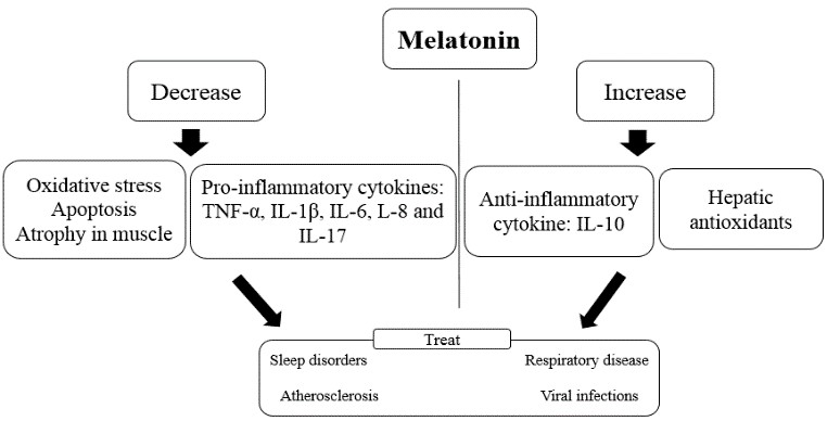 Figure 2.jpg