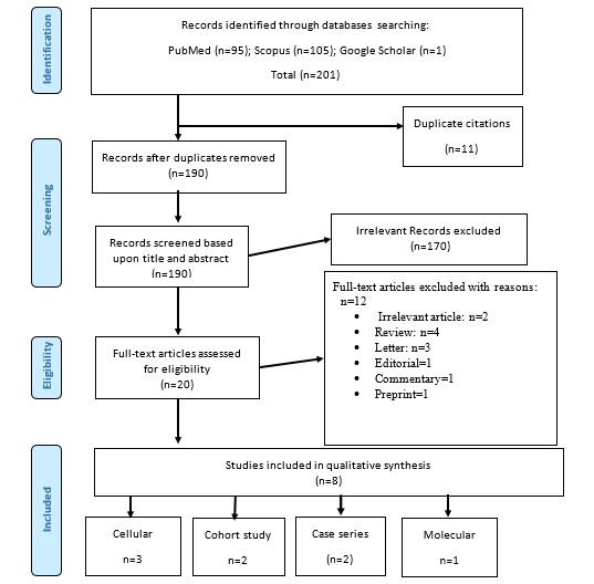 Figure 3.jpg