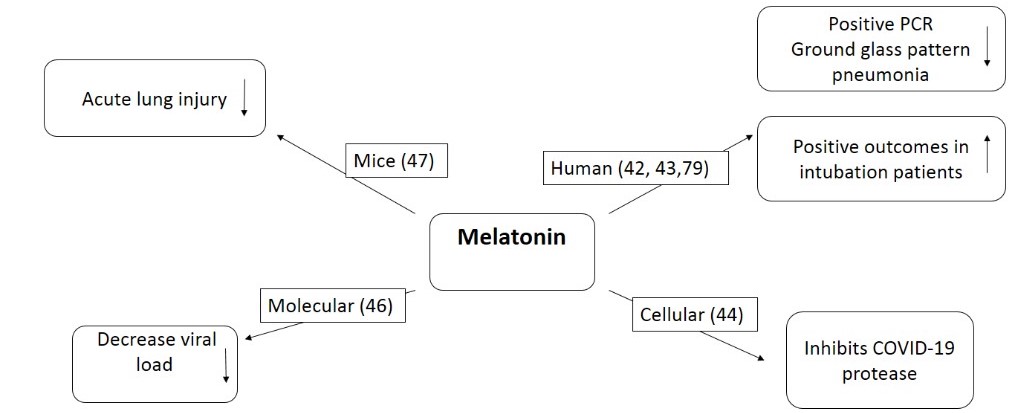 Figure 4.jpg