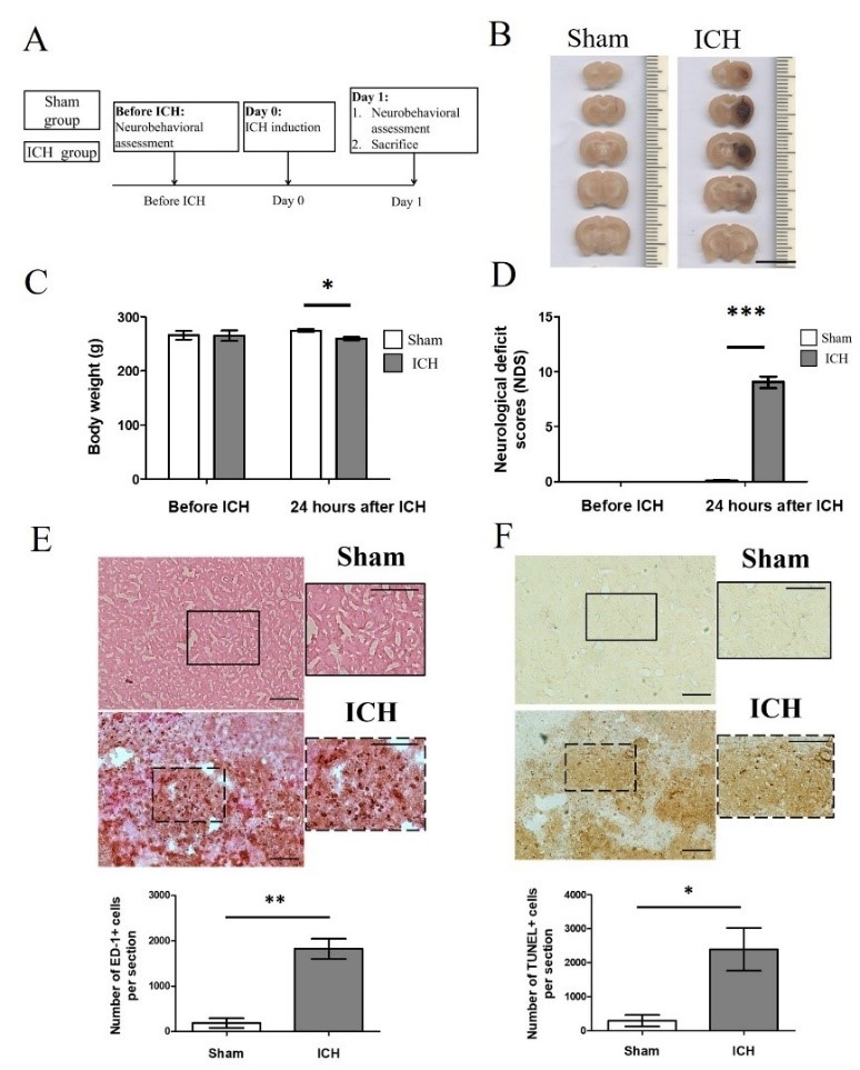 Figure 1.jpg