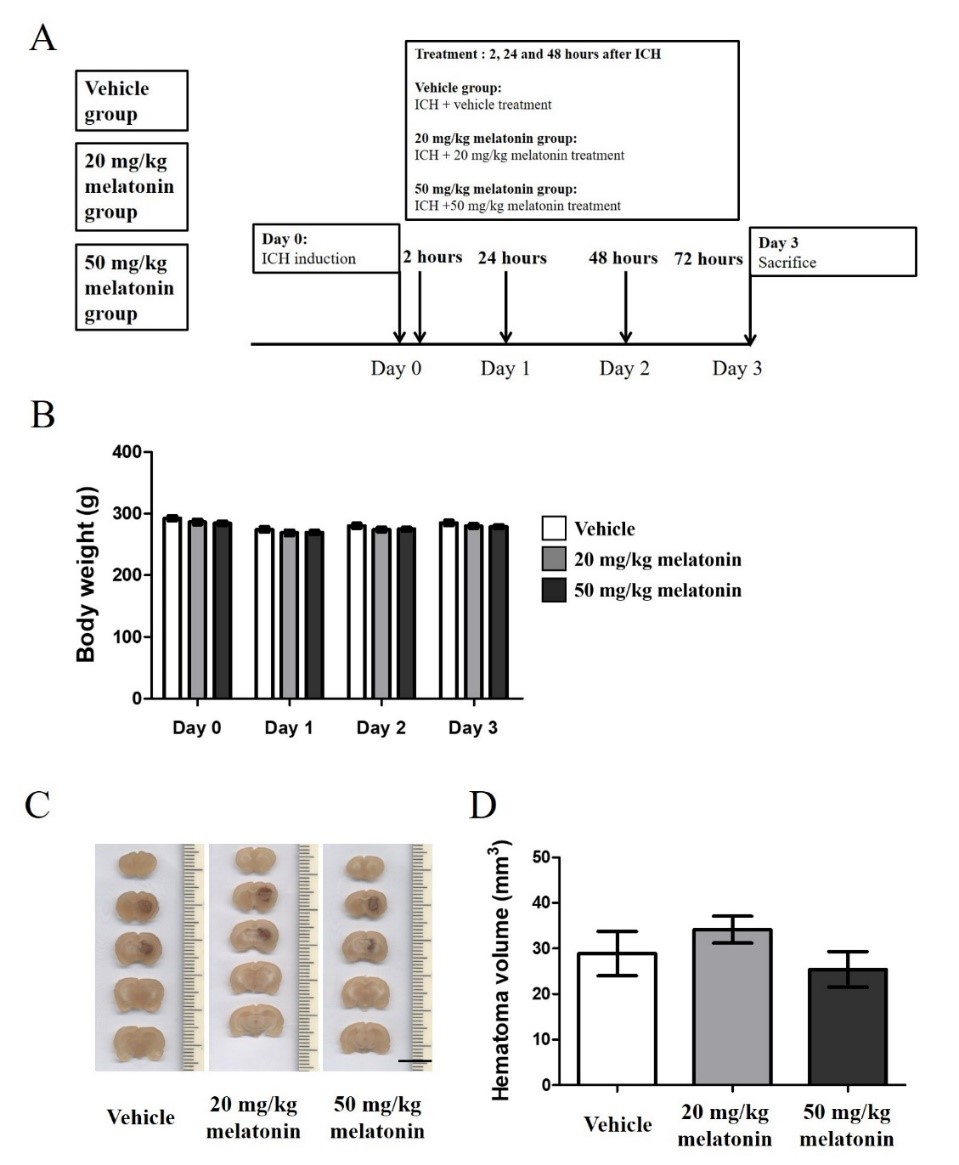 Figure 3.jpg