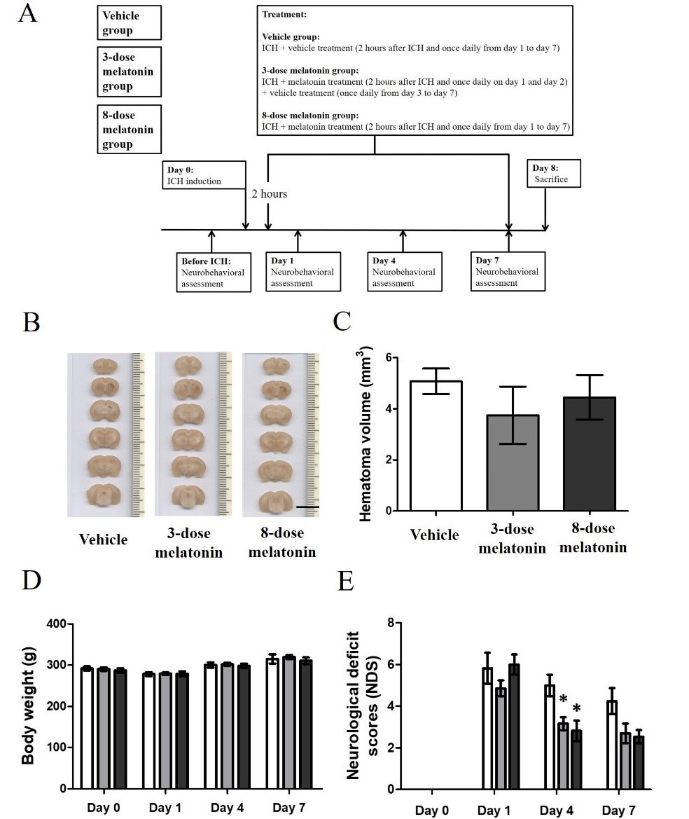 Figure 5.jpg