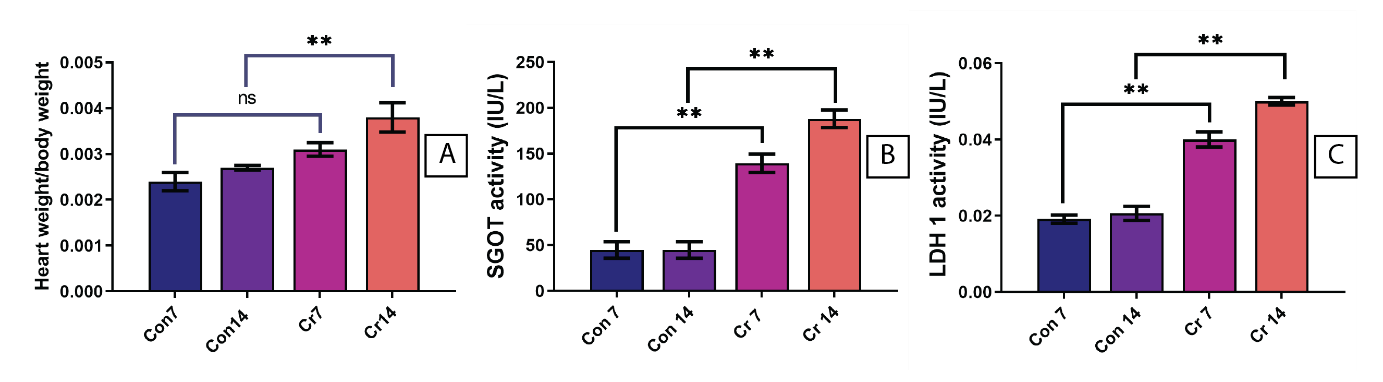 Figure 2.png