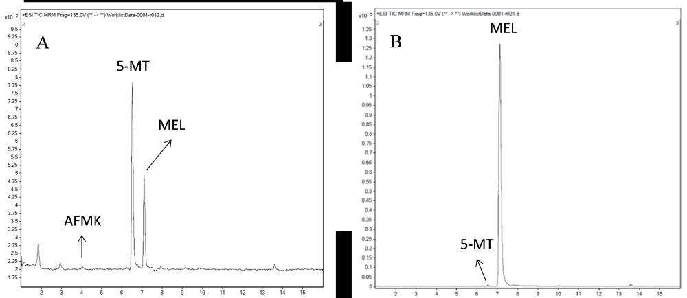 Figure 5.jpg