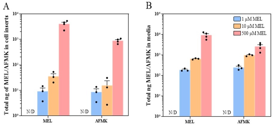 Figure 6.jpg