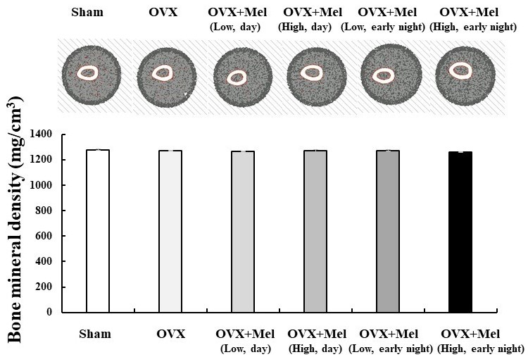 Figure 3.jpg