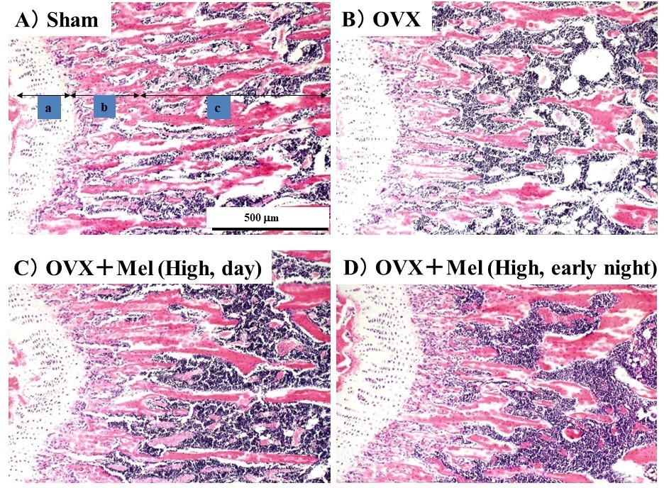 Figure 4.jpg