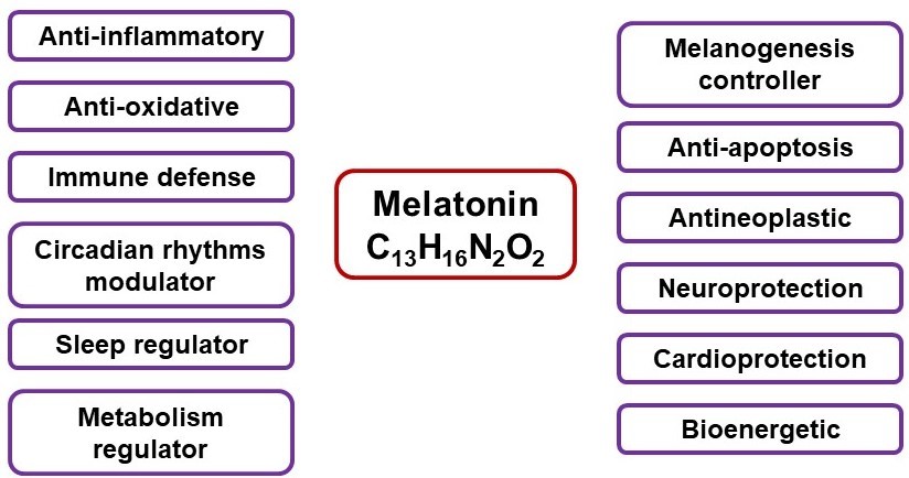 Figure 1.jpg