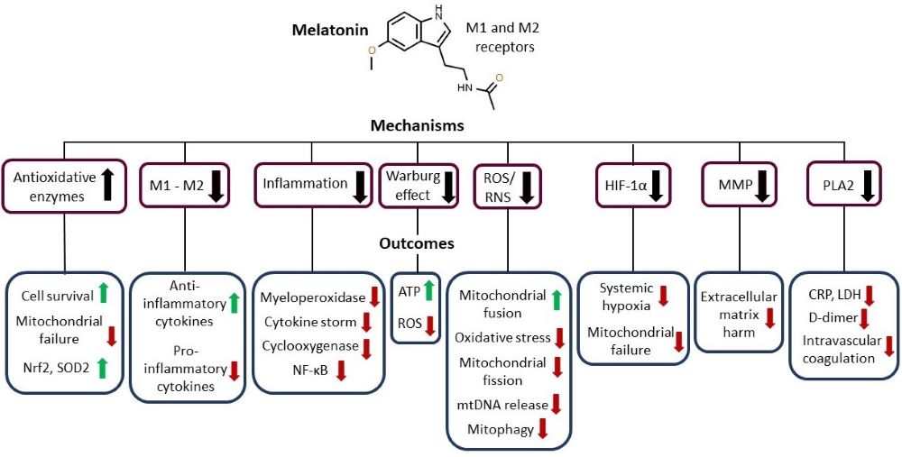 Figure 2.jpg