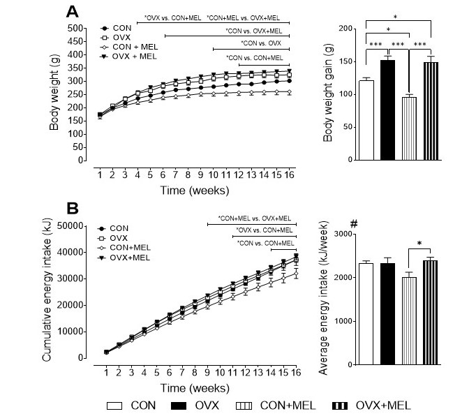 Figure 1-2.jpg