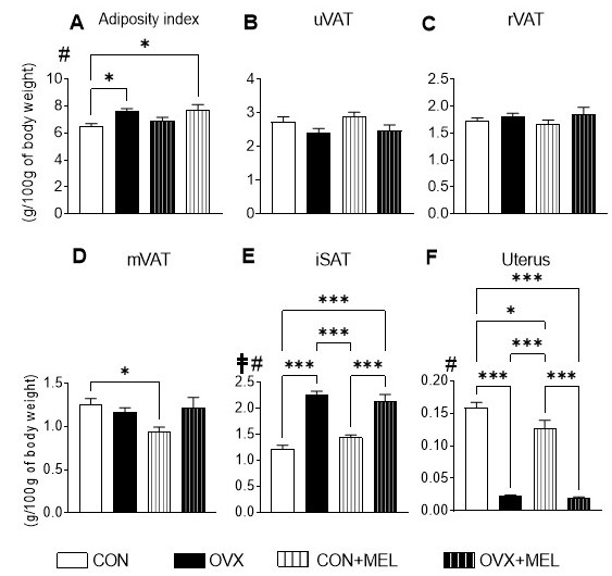 Figure 3.jpg