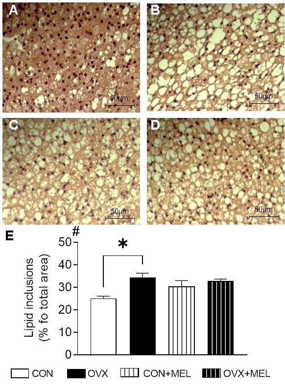 Figure 5.jpg