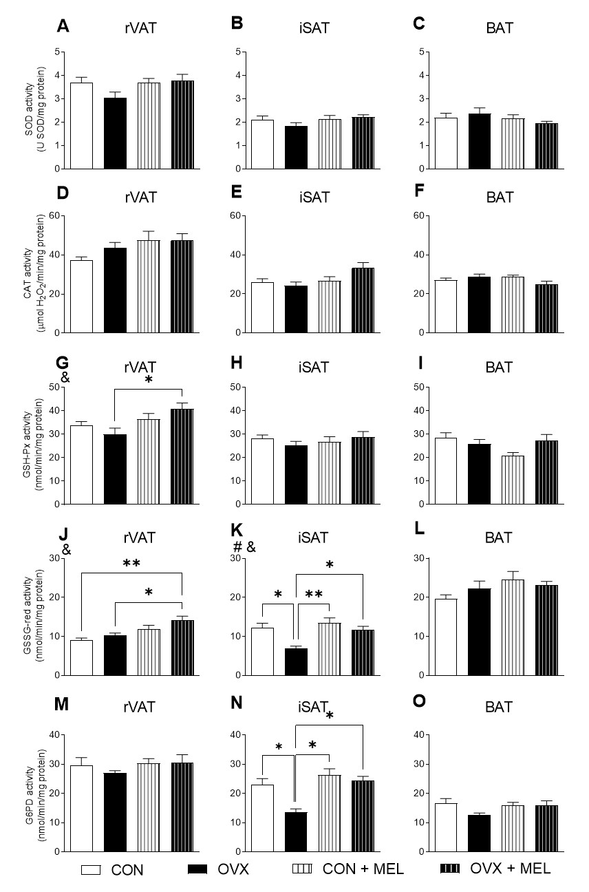 Figure 7.jpg