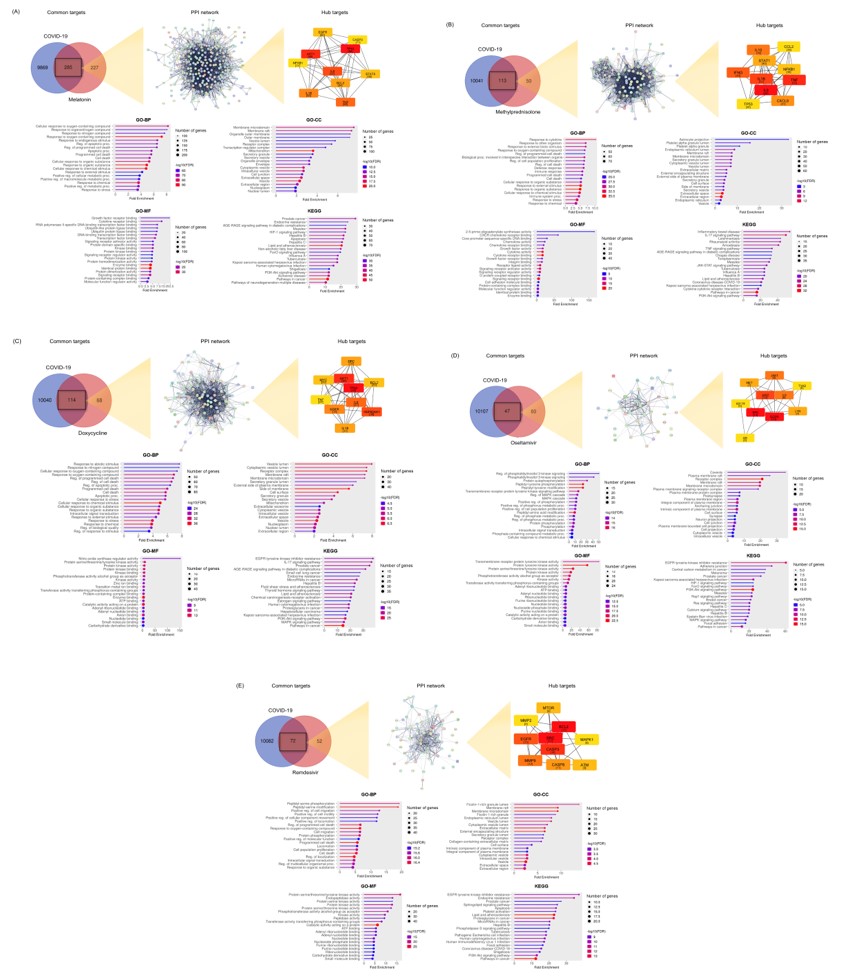 Figure 4.jpg